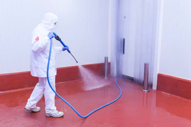 Best Boat and Dock Cleaning  in Fussels Corner, FL